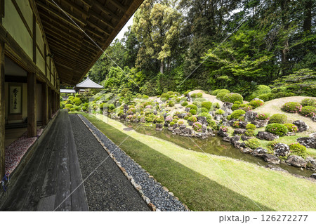龍潭寺庭園（浜松市） 126272277