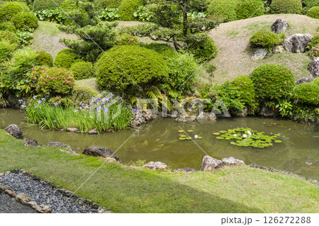 龍潭寺庭園（浜松市） 126272288