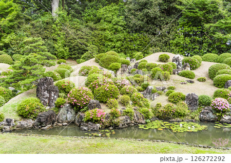 龍潭寺庭園（浜松市） 126272292