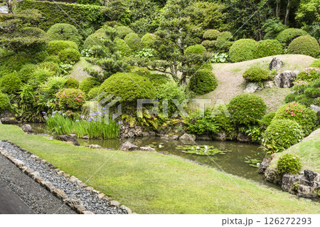 龍潭寺庭園（浜松市） 126272293