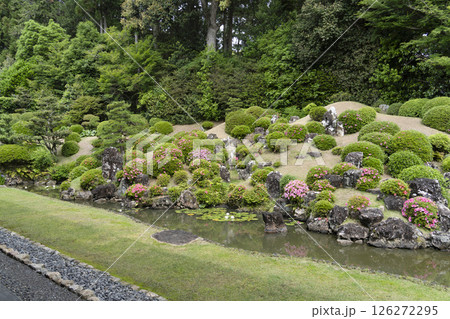 龍潭寺庭園（浜松市） 126272295