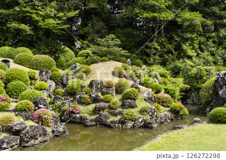 龍潭寺庭園（浜松市） 126272298