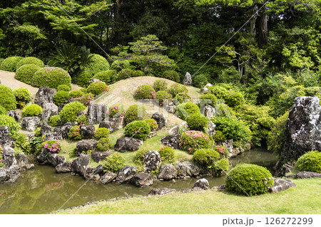 龍潭寺庭園（浜松市） 126272299