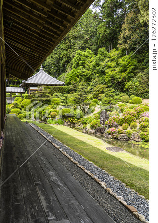 龍潭寺庭園(浜松市) 龍潭寺庭園(浜松市) 126272302