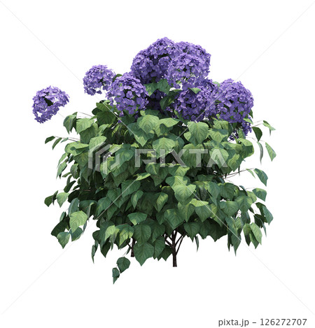 bush isolate on a transparent background, 3D illustration, cg render bush isolate on a transparent background, 3D illustration, cg render 126272707