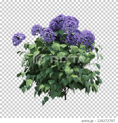 bush isolate on a transparent background, 3D illustration, cg render bush isolate on a transparent background, 3D illustration, cg render 126272707