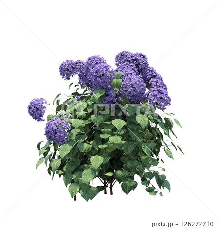 bush isolate on a transparent background, 3D illustration, cg render 126272710