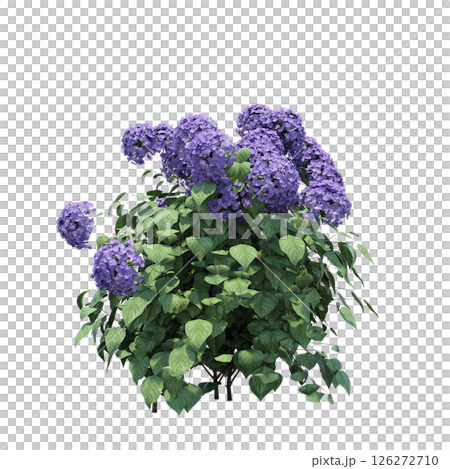 bush isolate on a transparent background, 3D illustration, cg render 126272710