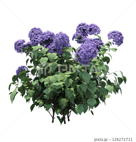 bush isolate on a transparent background, 3D illustration, cg render 126272711