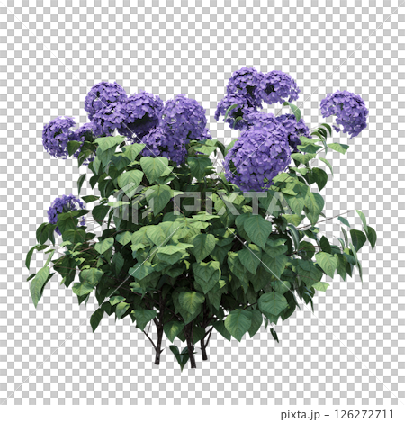 bush isolate on a transparent background, 3D illustration, cg render 126272711