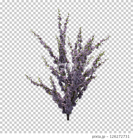 bush isolate on a transparent background, 3D illustration, cg render 126272731