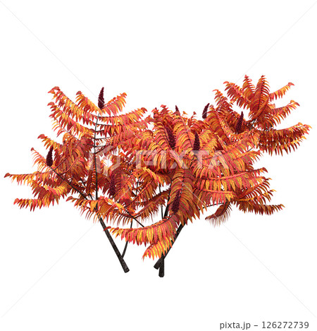 bush isolate on a transparent background, 3D illustration, cg render 126272739