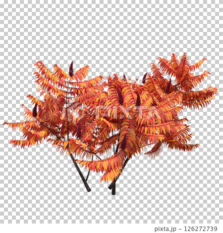 bush isolate on a transparent background, 3D illustration, cg render 126272739