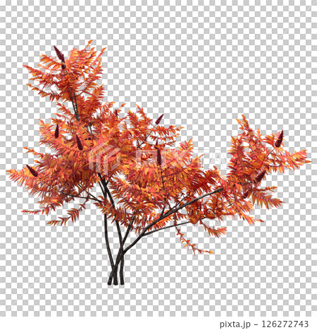 bush isolate on a transparent background, 3D illustration, cg render 126272743