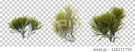 bush isolate on a transparent background, 3D illustration, cg render 126272750