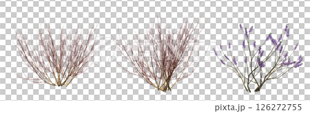 bush isolate on a transparent background, 3D illustration, cg render 126272755