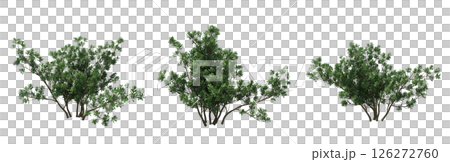 bush isolate on a transparent background, 3D illustration, cg render 126272760