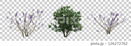 bush isolate on a transparent background, 3D illustration, cg render 126272762