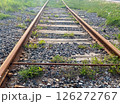 Rails on a railroad amidst urban areas and greenery 126272767