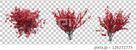 bush isolate on a transparent background, 3D illustration, cg render 126272773