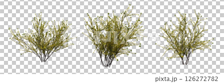 bush isolate on a transparent background, 3D illustration, cg render 126272782