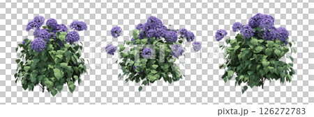 bush isolate on a transparent background, 3D illustration, cg render 126272783