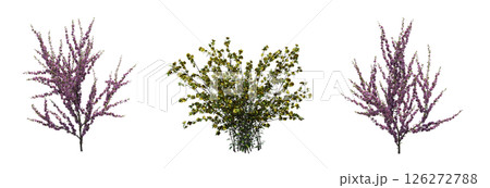 bush isolate on a transparent background, 3D illustration, cg render 126272788