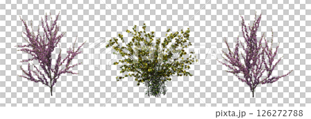 bush isolate on a transparent background, 3D illustration, cg render 126272788