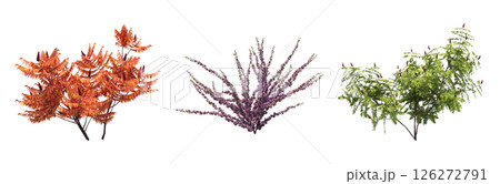bush isolate on a transparent background, 3D illustration, cg render bush isolate on a transparent background, 3D illustration, cg render 126272791