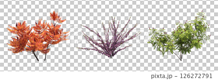 bush isolate on a transparent background, 3D illustration, cg render 126272791
