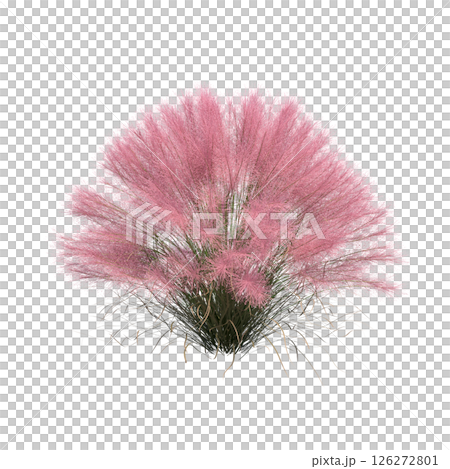 bush isolate on a transparent background, 3D illustration, cg render 126272801
