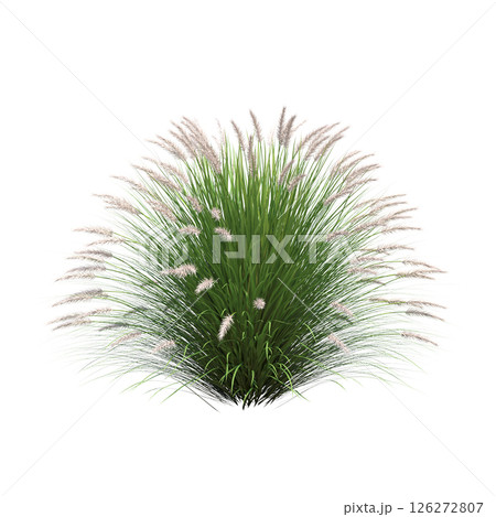 bush isolate on a transparent background, 3D illustration, cg render 126272807