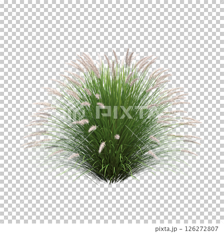 bush isolate on a transparent background, 3D illustration, cg render 126272807