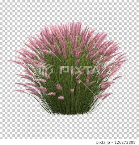 bush isolate on a transparent background, 3D illustration, cg render bush isolate on a transparent background, 3D illustration, cg render 126272809