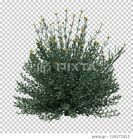 bush isolate on a transparent background, 3D illustration, cg render 126272811