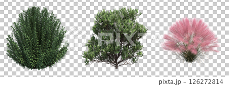 bush isolate on a transparent background, 3D illustration, cg render 126272814