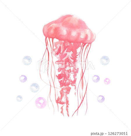 Pink delicate watercolor jellyfish and bubbles Pink delicate watercolor jellyfish and bubbles 126273051