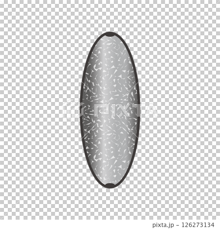 ナツメオモリ 釣りの仕掛けイラスト素材 ナツメオモリ 釣りの仕掛けイラスト素材 126273134
