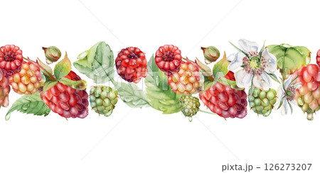 Raspberry ripe garden berries, leaves flowers in water dew drops hand drawn in watercolor. Seamless isolated banner garland. Home preserves, washi tape, food store decor, recipe book, dessert menu Raspberry ripe garden berries, leaves flowers in water dew drops hand drawn in watercolor. Seamless isolated banner garland. Home preserves, washi tape, food store decor, recipe book, dessert menu 126273207