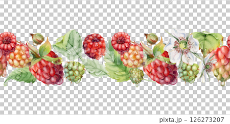 Raspberry ripe garden berries, leaves flowers in water dew drops hand drawn in watercolor. Seamless isolated banner garland. Home preserves, washi tape, food store decor, recipe book, dessert menu Raspberry ripe garden berries, leaves flowers in water dew drops hand drawn in watercolor. Seamless isolated banner garland. Home preserves, washi tape, food store decor, recipe book, dessert menu 126273207