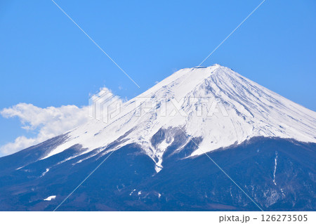 春　富士山 126273505