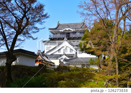 岡崎城 岡崎城 126273838
