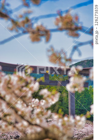 熊野本宮大社 大鳥居 桜 熊野本宮大社 大鳥居 桜 126273839