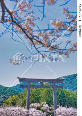 熊野本宮大社 大鳥居 桜 熊野本宮大社 大鳥居 桜 126273843