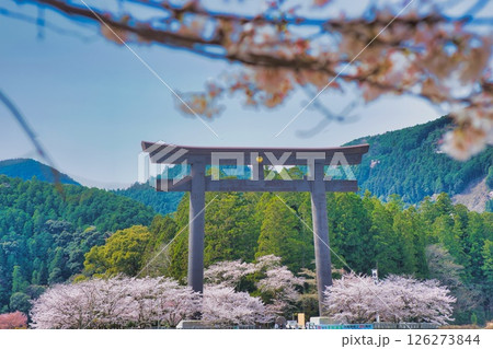熊野本宮大社 大鳥居 桜 熊野本宮大社 大鳥居 桜 126273844