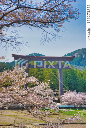 熊野本宮大社 大鳥居 桜 126273851