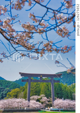熊野本宮大社 大鳥居 桜 熊野本宮大社 大鳥居 桜 126273852