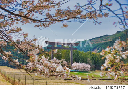 熊野本宮大社 大鳥居 桜 126273857