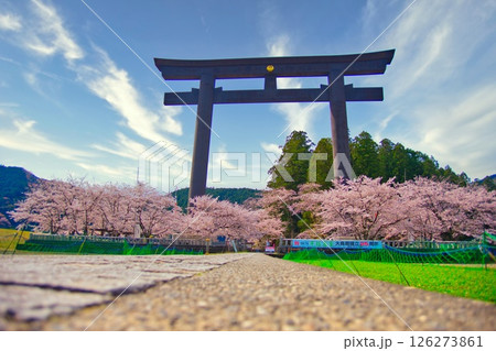 熊野本宮大社 大鳥居 桜 熊野本宮大社 大鳥居 桜 126273861
