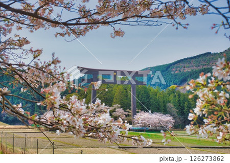 熊野本宮大社 大鳥居 桜 126273862